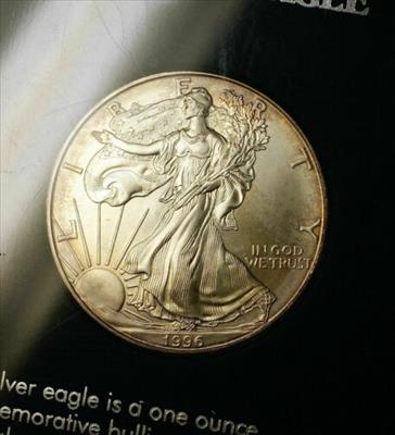 1996 American  Eagle ASE Brilliant Uncirculated  1 Ozt 999 SSCA Case