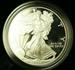 1996 P Proof American  Eagle S$1 1 Oz Troy .999 Fine With COA & OGP