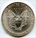 2001 American Eagle 1 oz Fine    US Mint Bullion One Ounce  BK373