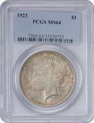 1923 Peace   PCGS Cloudy Grey Toned on Obverse