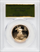 1995-W $25 Half-Ounce Gold Eagle PR DC Modern Bullion Coins PCGS MS70