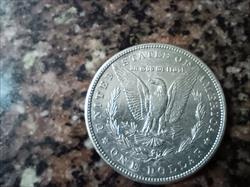 1884s MORGAN Dollar AU+