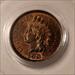1905 Indian Head Cent MS63 RB PCGS