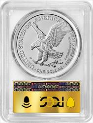 2024 American Silver Eagle FDI Gold Label 1 of 2024 PCGS MS70