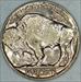 1935-D Buffalo Nickel; Lustrous Choice AU-BU  