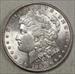 1902 Morgan Dollar, Choice Almost Uncirculated, Better Date