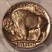1938 D/D Buffalo Nickel MS66 PCGS Toning