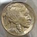 1919 Buffalo Nickel, Choice Almost Uncirculated PCGS AU-58, Nice Color