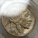 1919 Buffalo Nickel, Choice Almost Uncirculated PCGS AU-58, Nice Color