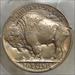 1919 Buffalo Nickel, Choice Almost Uncirculated PCGS AU-58, Nice Color