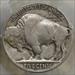 1924-S Buffalo Nickel, Better Date, PCGS VF-25, Original and Problem Free