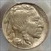 1913 Type 2 Buffalo Nickel, Choice Uncirculated PCGS MS-63