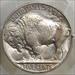 1914 Buffalo Nickel, Choice Uncirculated PCGS MS-63, Flashy Original BU