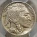 1918-D Buffalo Nickel, Choice Almost Uncirculated, Well Struck, PCGS Certified