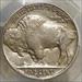 1918-D Buffalo Nickel, Choice Almost Uncirculated, Well Struck, PCGS Certified