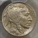 1920-S Buffalo Nickel, Choice Almost Uncirculated, Sharp Strike, PCGS Certified
