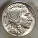 1928 Buffalo Nickel, Choice Uncirculated PCGS MS-64