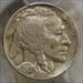 1920-S Buffalo Nickel, Choice Extremely Fine, Sharp Strike, PCGS XF-45