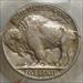 1920-S Buffalo Nickel, Choice Extremely Fine, Sharp Strike, PCGS XF-45