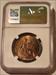 Great Britain Victoria 1899 Penny MS63 BN NGC
