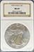 1999 Silver Eagle MS69 NGC