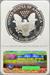 1995 Silver Eagle PF69UCAM NGC