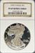 1999 Silver Eagle PF69UCAM NGC
