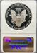 1999 Silver Eagle PF69UCAM NGC