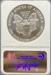 1991 Silver Eagle MS69 NGC