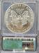 1986 Silver Eagle MS69 ICG