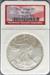 2004 Silver Eagle MS69 NGC