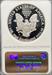 2008-W Silver Eagle PF69UCAM NGC Early Release