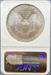 2001 Silver Eagle MS69 NGC