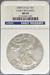 2008 Silver Eagle MS69 NGC Early Release