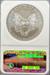2009 Silver Eagle MS69 NGC Early Release