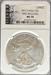 2012 Silver Eagle MS70 NGC First Release