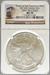 2013-S Silver Eagle MS70 NGC First Release