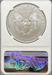 2019-W Burnished Silver Eagle MS70 NGC First Day Issue