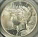 1928 Peace Dollar MS63 PCGS