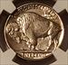 1937 S Buffalo Nickel MS65 NGC