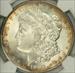 1902 Morgan Dollar MS66 NGC