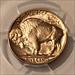 1938 D/D Buffalo Nickel MS65 PCGS Nice Patina