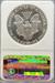 1987 Silver Eagle MS69 NGC