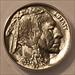 1937 Buffalo Nickel MS66 ANACS