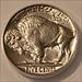 1937 Buffalo Nickel MS66 ANACS