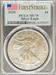 2020 Silver Eagle MS70 PCGS First Strike