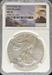 2015 Silver Eagle MS70 NGC First Release