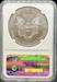 2015 Silver Eagle MS70 NGC First Release