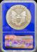2020 Silver Eagle MS70 NGC Blue Core FDI Emergency Production