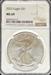 2023 Silver Eagle MS69 NGC